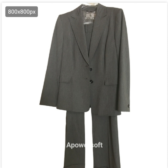 Tahiri Gray two button pants suit size 10P - Picture 3 of 4